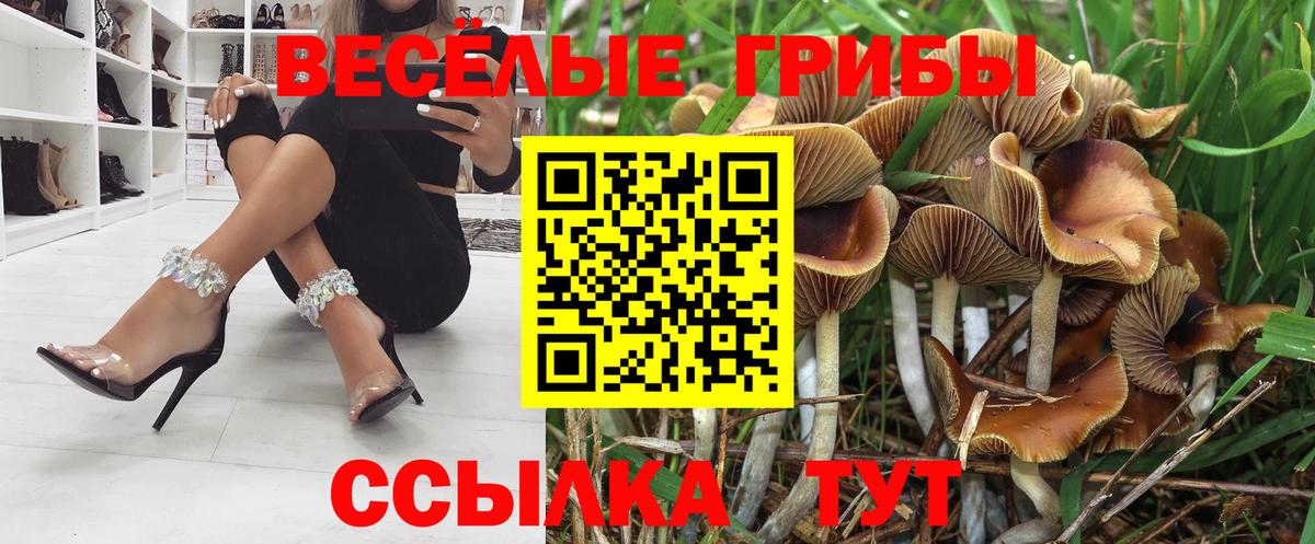 Псилоцибиновые грибы Magic Shrooms Тамбов