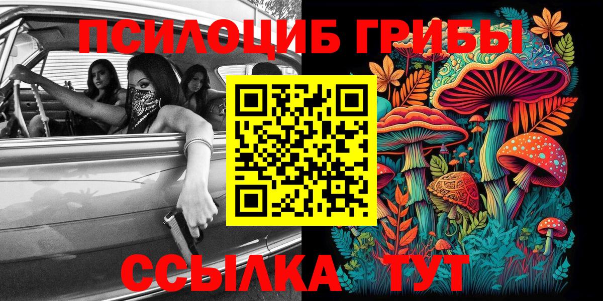Тамбов  Псилоцибиновые грибы GOLDEN TEACHER  Вход с VPN  Галлюциногенные грибы Psilocybine cubensis 